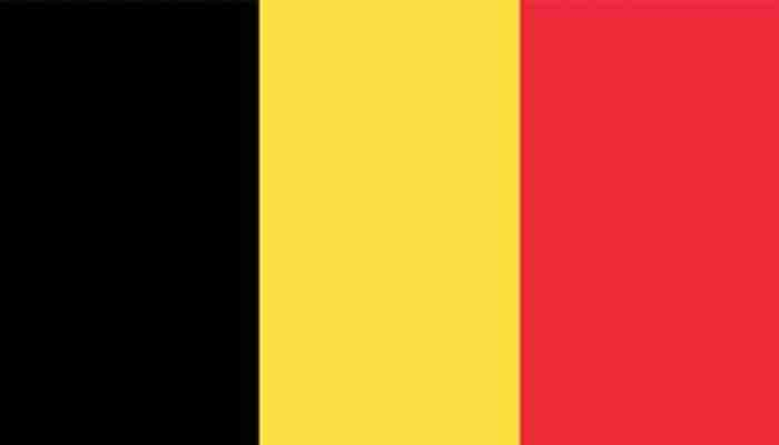 Как выглядит флаг belgium Flag Of Belgium Rainbow Flag CleanPNG / KissPNG